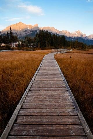 Policeman's Creek Boardwalk